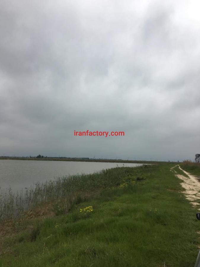 فروش ۷۰ هکتار زمین پرورش ماهی در بهشهر1
