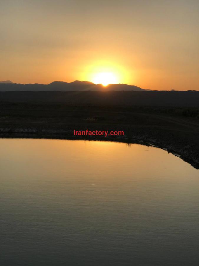 مزرعه پروش ماهیان خاویاری یزد4