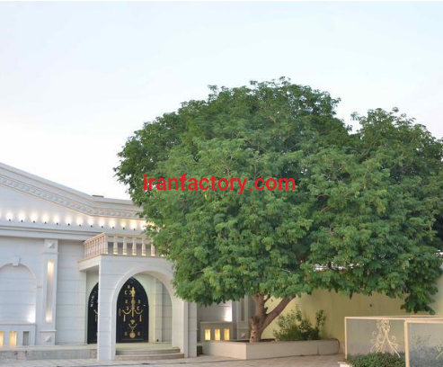 فروش 2000 متر تالار در برازجان3