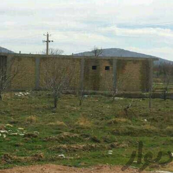 فروش کارخانه برنجکوبی تمام اتوماتیک در شیراز2