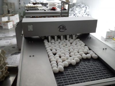 فروش کارخانه بسته بندی تخم مرغ در کرج کمالهشر -فروش یک واحد بسته بندی تخم مرغ با درآمد 200میلیون سود در ماه0