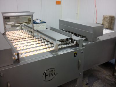 فروش کارخانه بسته بندی تخم مرغ در کرج کمالهشر -فروش یک واحد بسته بندی تخم مرغ با درآمد 200میلیون سود در ماه1