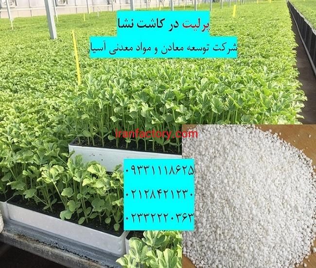 کاربرد پرلیت درکاشت نشا و قلمه زنی0
