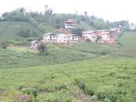 فروش زمین مسکونی درگیلان0