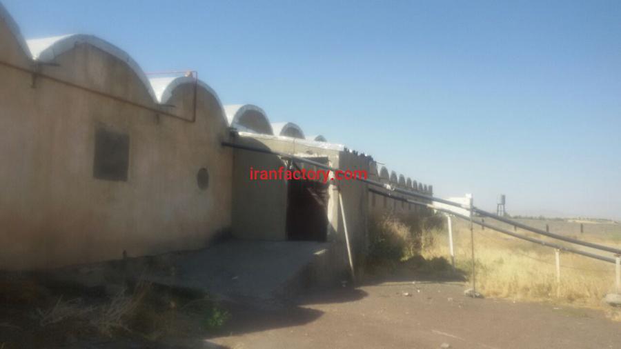 فروش مرغداری در همدان3