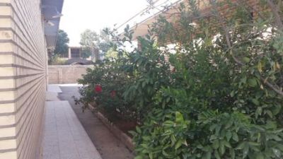 فروش کارخانه دستمال کاغذی در اهواز_فروش کارخانه در اهواز1