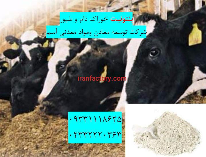 فروش بنتونیت ویژه تهیه خوراک دام و طیور0