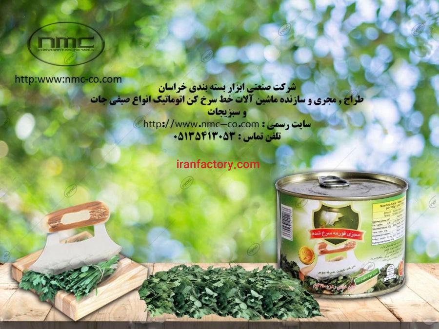 ماشین آلات تولید کنسرو صیفی جات و سبزیجات سرخ شده2