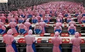 فروش کارخانه غذایی در زنجان _ خریدکارخانه غذایی در زنجان0