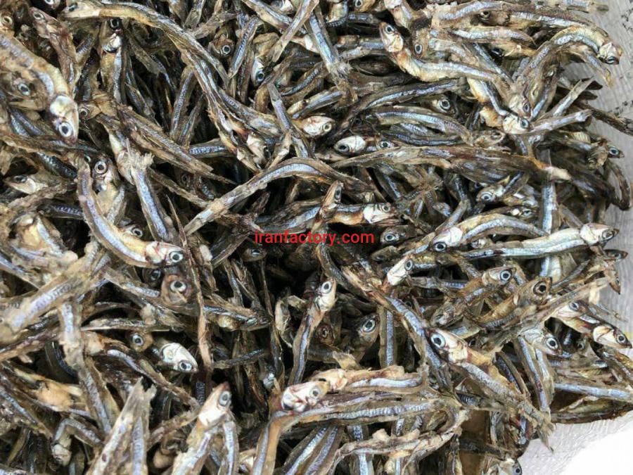 فروش ماهی متو صادراتی درجه یک2