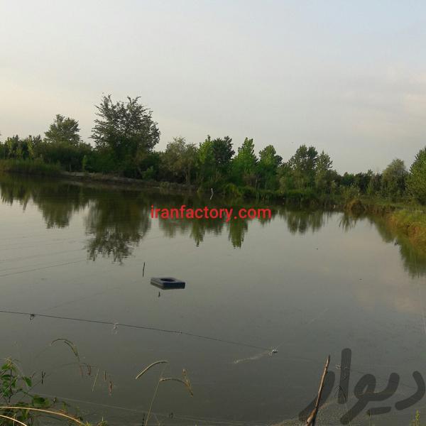 فروش پرورش ماهی گرم آبی در رشت1