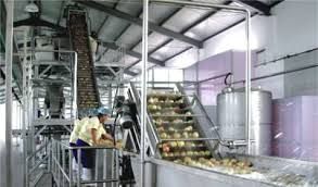 فروش کارخانه کنسانتره میوه در تهران0