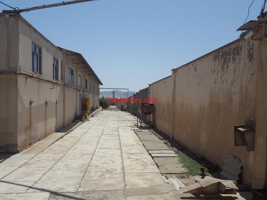 کارخانه خشکبار و سبزه پاکنی0