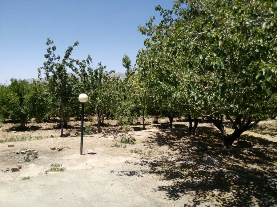 فروش مرغداری و باغ در شهرضا اصفهان6