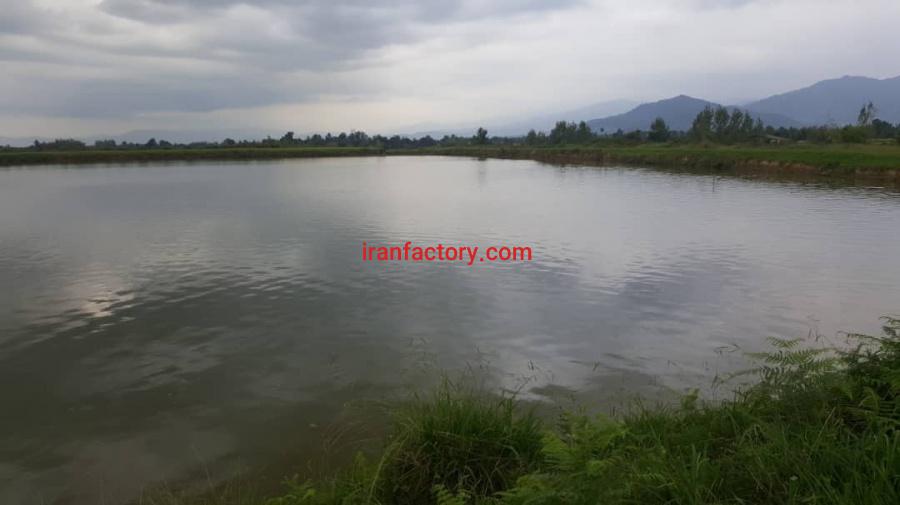 فروش استخر پرورش ماهی فومن استان گیلان2