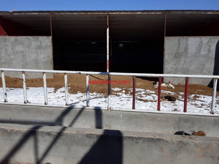 فروش دامداری در تیران اصفهان1