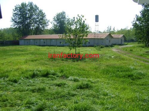 فروش مرغداری گوشتی 15000قطعه ای در شمال(گیلان- لنگرود – چمخاله )0