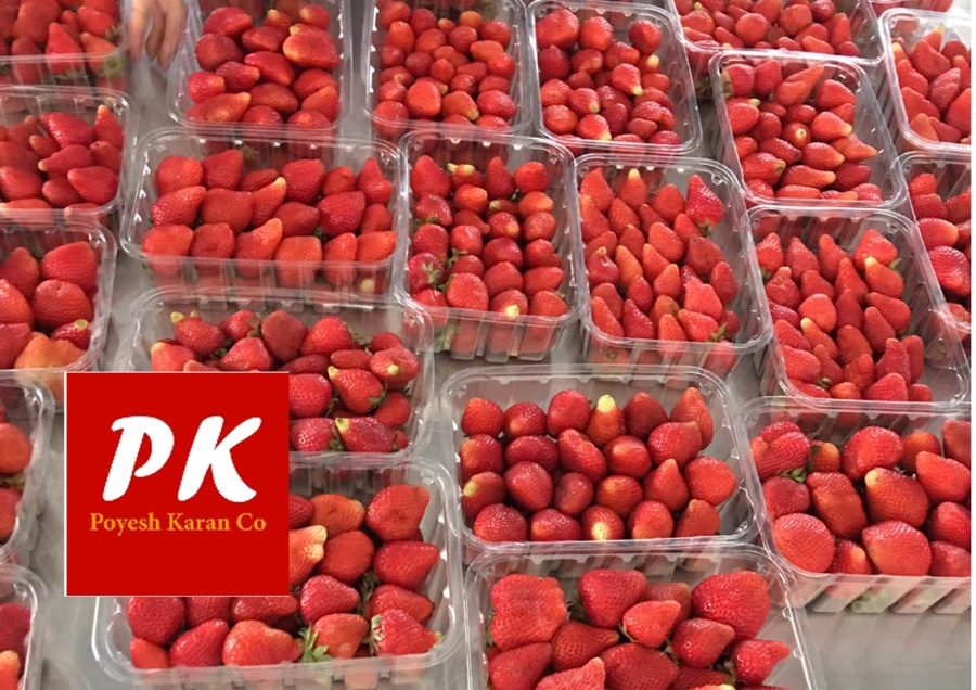 دستگاه سورت و بسته بندی میوه و سبزیجات تازه0