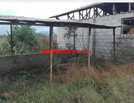 فروش 2000 متر  زمین و دامداری و استخر در املش1