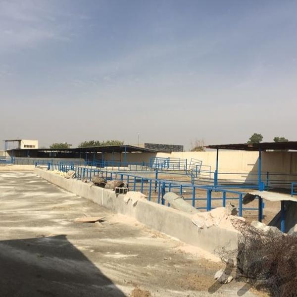 فروش گاوداری در اصفهان1