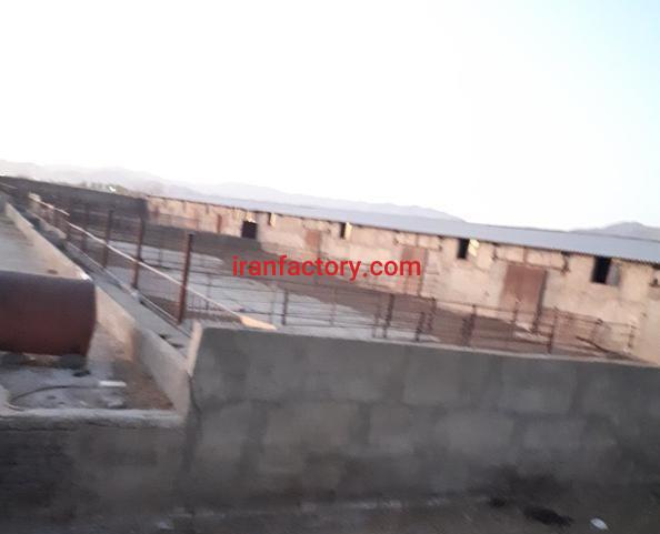 فروش گاوداری صنعتی در زنجان0