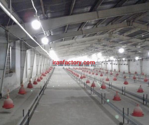 فروش مرغداری مرغ مادر در تهران0