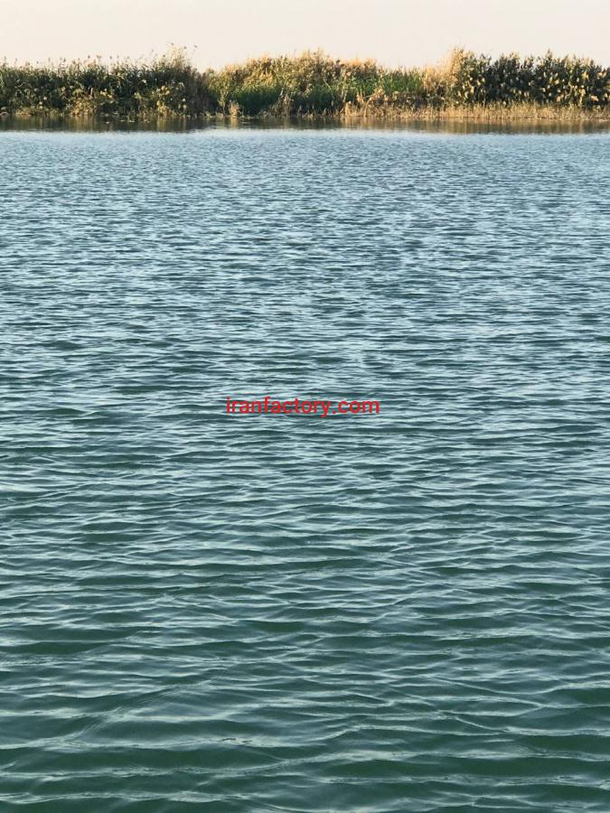 مزرعه پروش ماهیان خاویاری یزد3