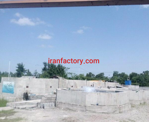 فروش 1508 متر مجموعه پرورش ماهی قزل آلا و خاویاری در رشت0