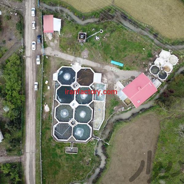 فروش پرورش ماهی در ماسال0