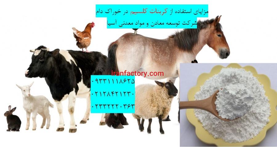 مزایای استفاده از کربنات کلسیم در خوراک دام وطیور0