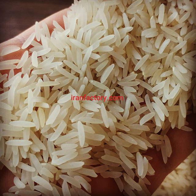 برنج فجرسوزنی1