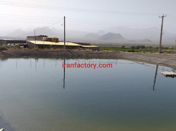 فروش کارخانه قارچ در کاشان0