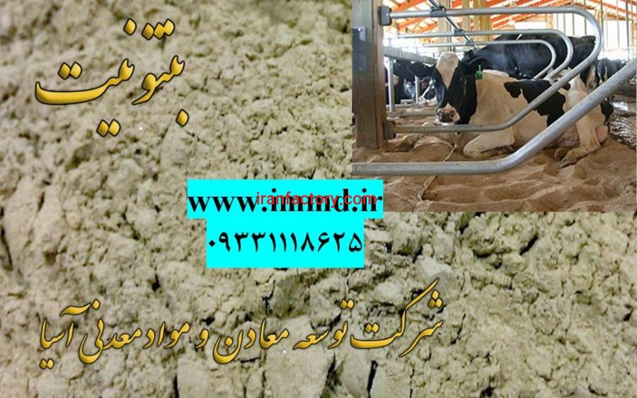 فروش بنتونیت بستر دام و طیور0