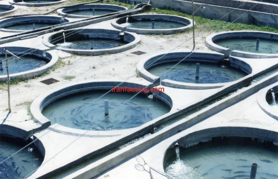 فروش مزرعه پرورش ماهی تهران6