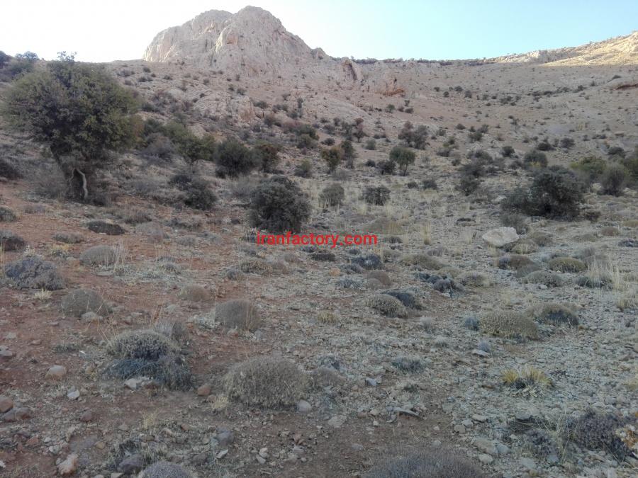 معدن مرمریت کرم فوق العاده بوانات - فارس - سرچهان1