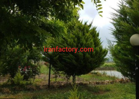 فروش 7500 متر مزرعه پرورش ماهی با باغ  در قایم شهر6