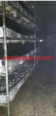 فروش کارخانه تولید قارچ خوراکی در شیراز5
