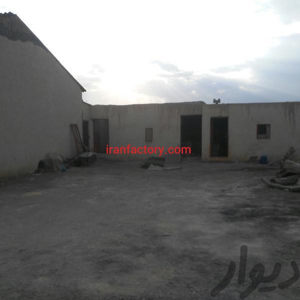 فروش دامداری در اصفهان2