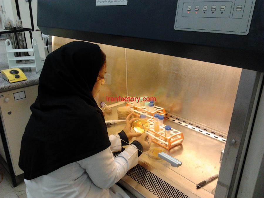 تجهیز آزمایشگاه تولید ساندویچ سرد-لقمان پژوهش0