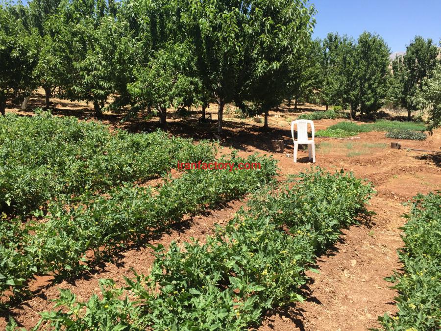 فروش کارخانه نوشابه گازدار در پاوه6