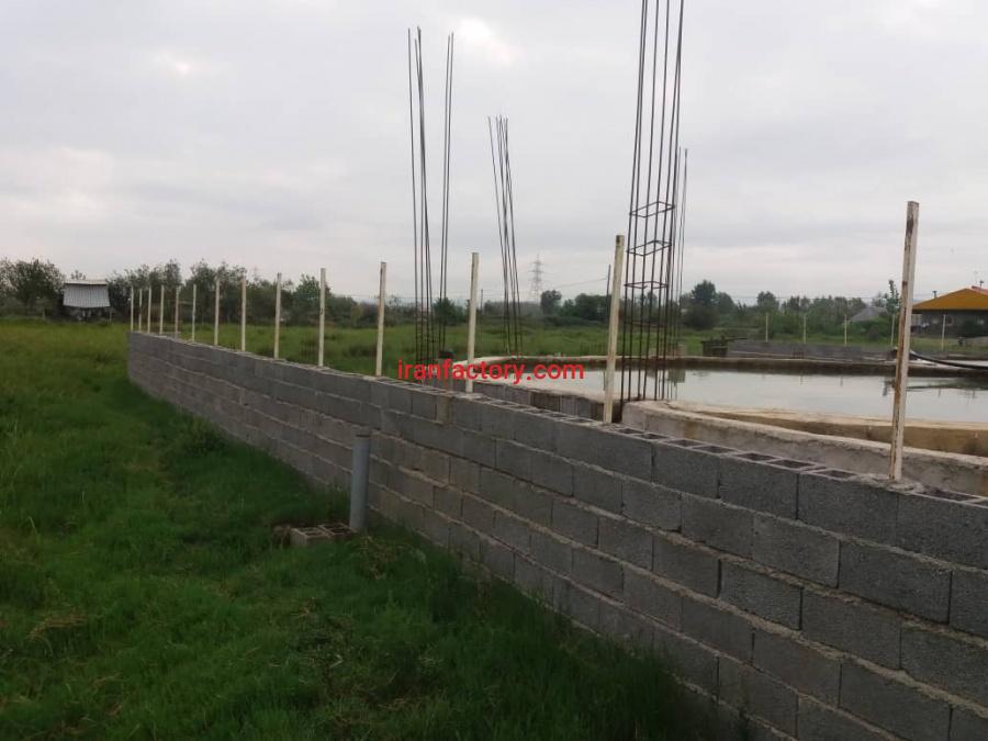 فروش پرورش ماهی سرد آبی رشت2