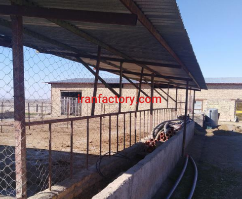 فروش 10000 متر دامداری در قوچان0