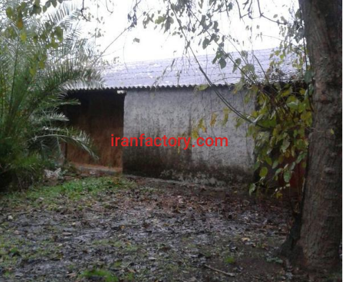 فروش 1000دامداری در رشت8