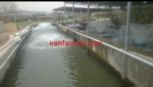 فروش 3300 متر مجموعه پرورش ماهی در قائمشهر2