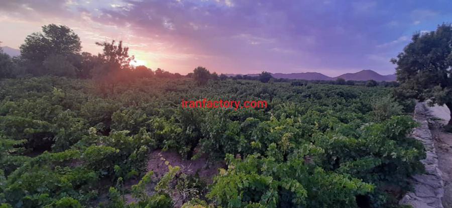 مشاور کود برای مزرعه0