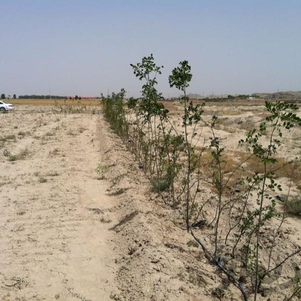 فروش زمین در رباط کریم0