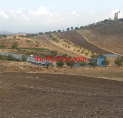 فروش 30000 متر مرغداری در کرمانشاه1