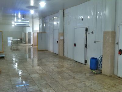 فروش کارخانه بسته بندی مرغ در تهران (خوارزمی) 1