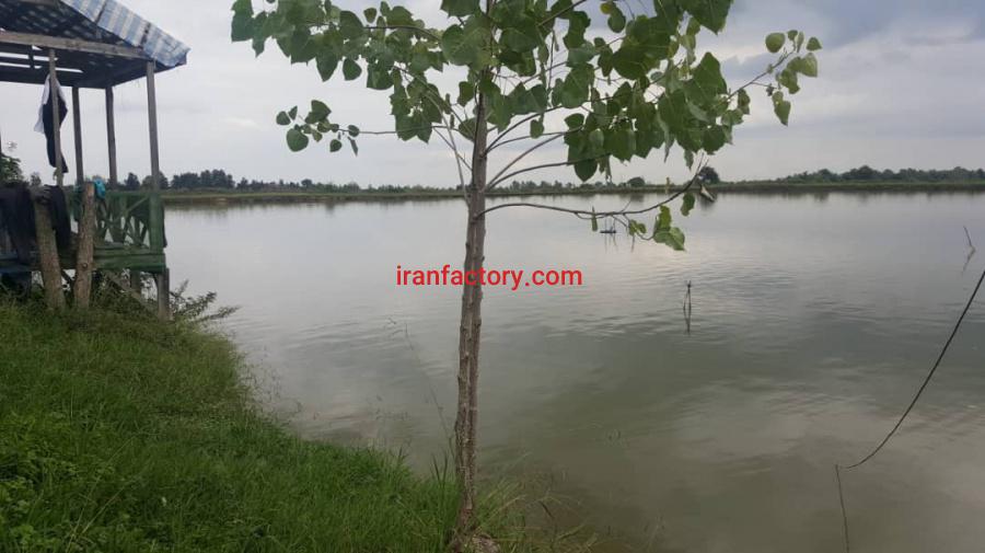 فروش استخر پرورش ماهی فومن استان گیلان0