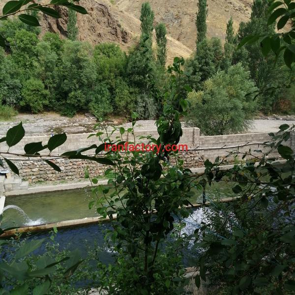 فروش استخر پرورش ماهی در تبریز1